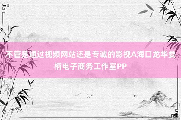不管是通过视频网站还是专诚的影视A海口龙华娄柄电子商务工作室PP